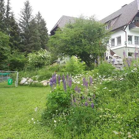 Der Waldvogel * Herrischried
