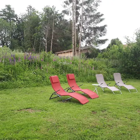 Der Waldvogel